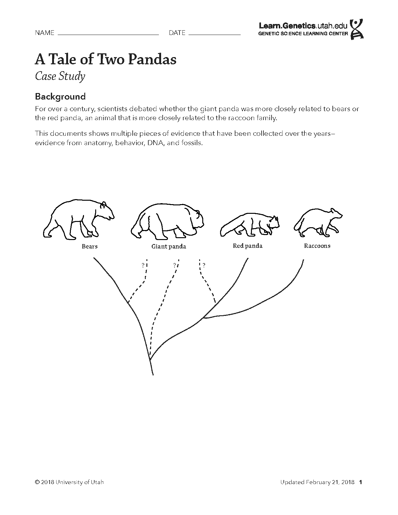 compare and contrast bear article middle school